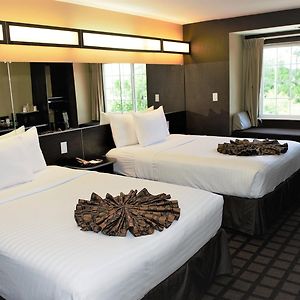 Queen Room Two Queen Beds Non-Smoking