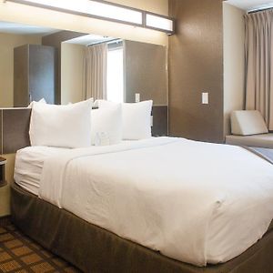 1 Queen Bed Studio Suite Non-Smoking